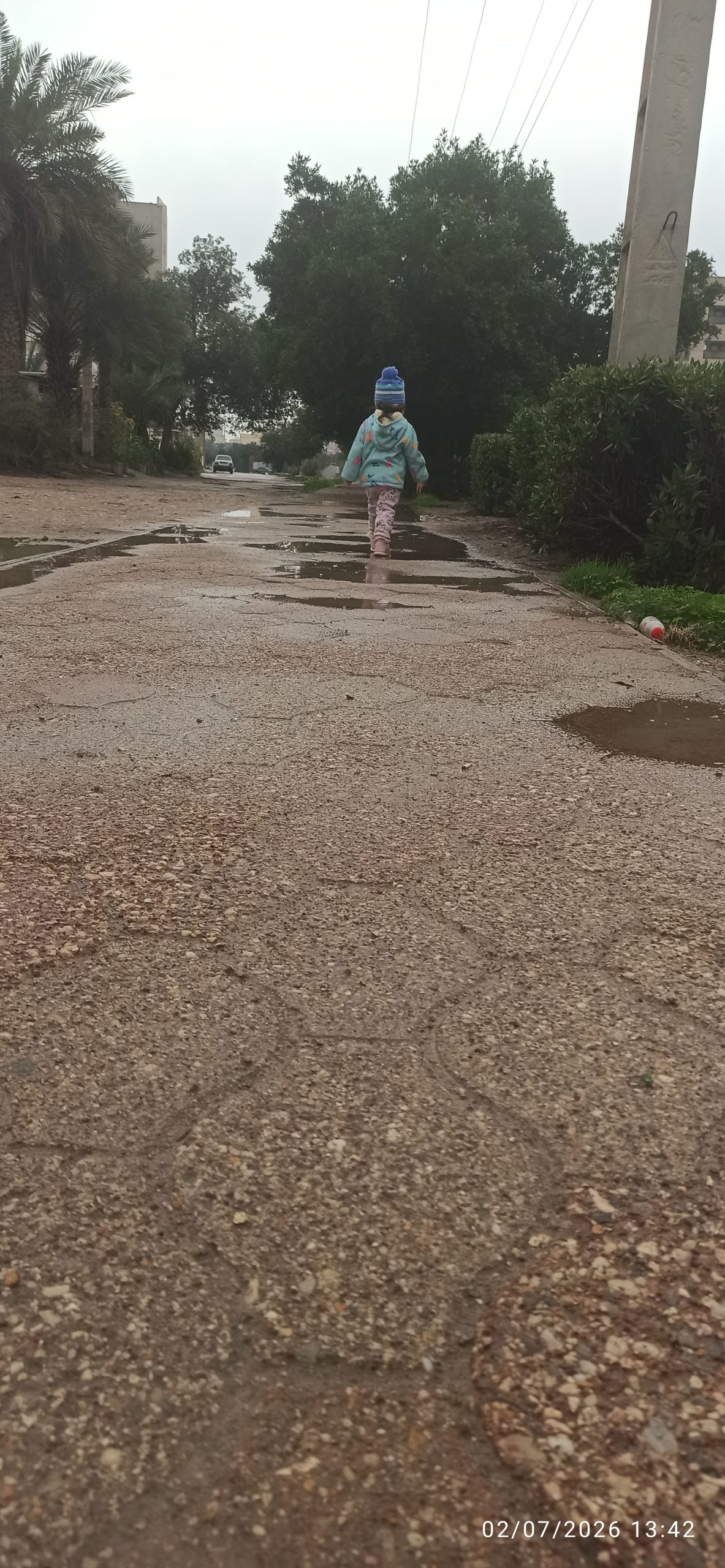 در حال حاضر در حال تماشای این مورد هستید رشد