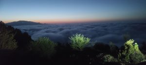 دربارۀ این مقاله بیشتر بخوانید پرورش ساقه مغز