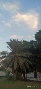 دربارۀ این مقاله بیشتر بخوانید وقتی به یاد می‌آورم متولد شده‌ام
