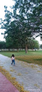 دربارۀ این مقاله بیشتر بخوانید انتخاب